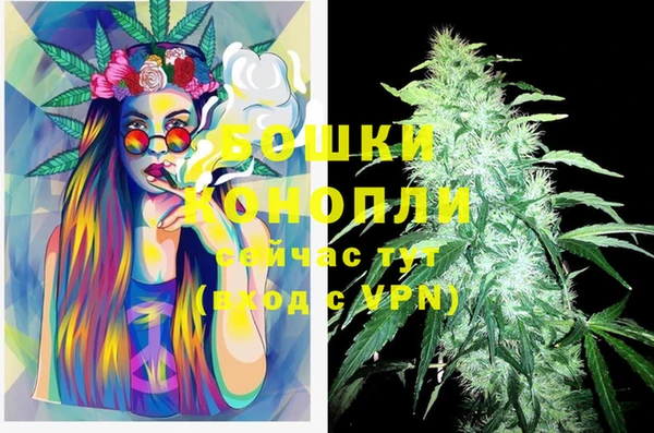 круглые Козловка