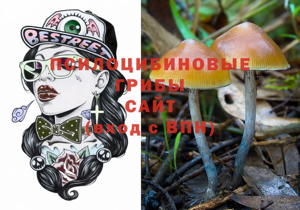 бошки Алексеевка