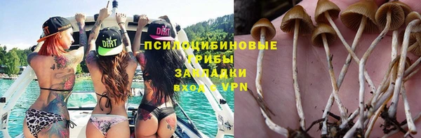 бошки Алексеевка