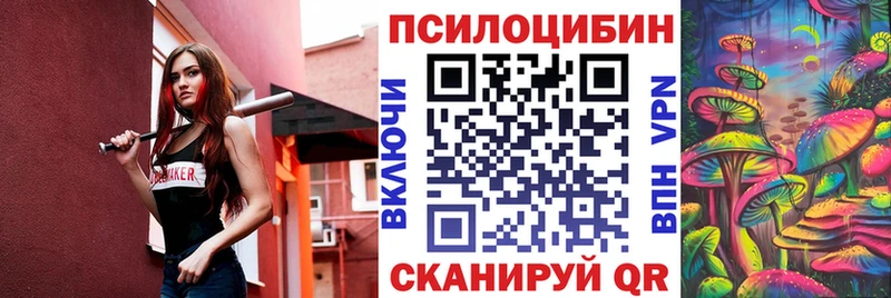 OMG зеркало Йошкар-Ола Галлюциногенные грибы Psilocybe